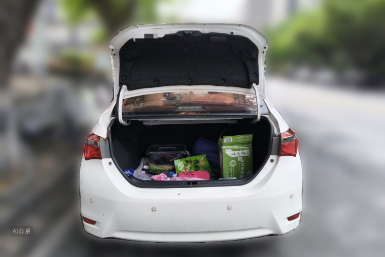 Toyota Corolla 2017 #21 Toyota Corolla 2017 car image #21