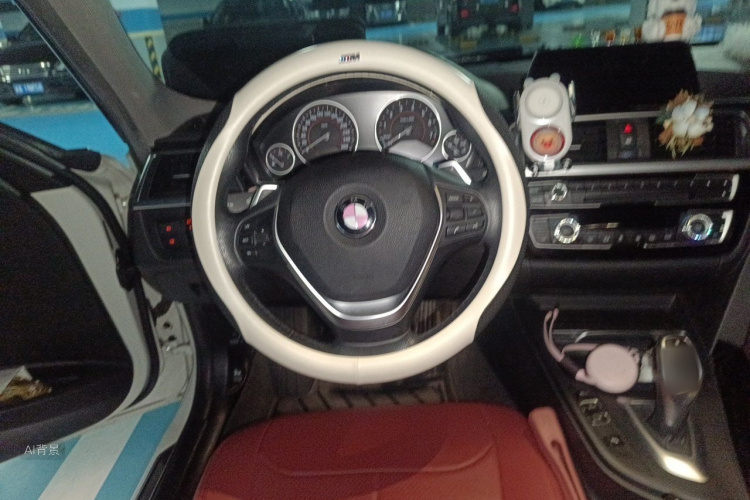 BMW 3 Series 2017 car image #12