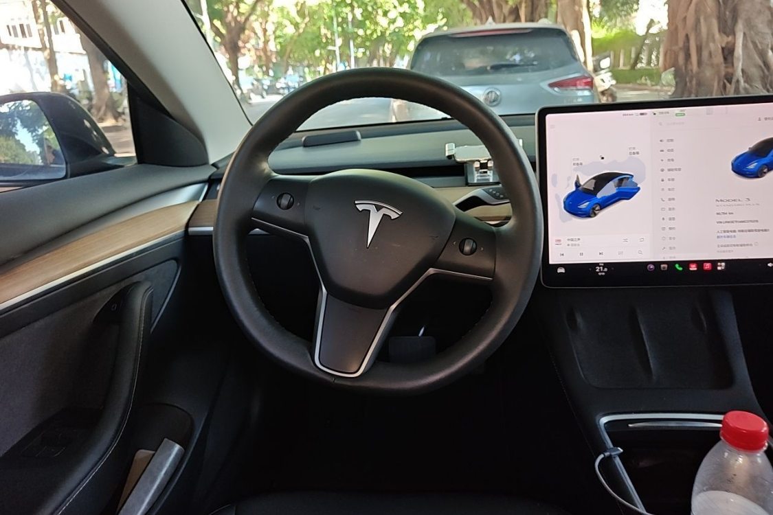 Tesla Model 3 2021 #22 Tesla Model 3 2021 car image #22
