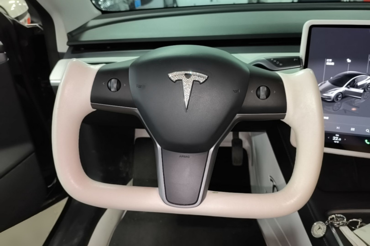 Tesla Model 3 2023 immagine di auto #11