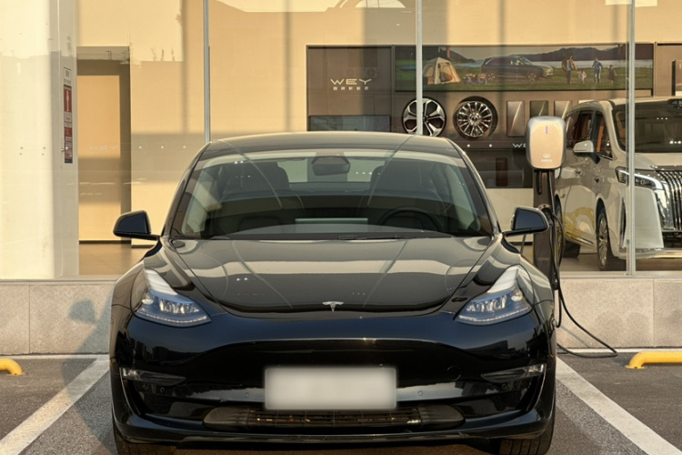 Tesla Model 3 2022 car image #10