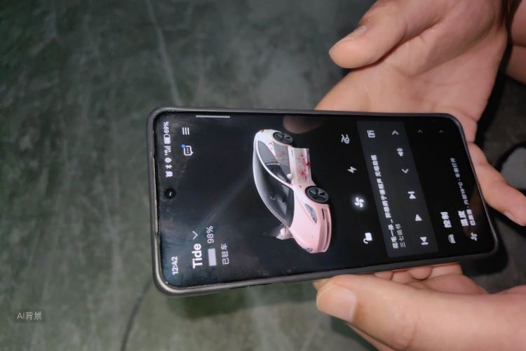 Tesla Model 3 2021 car image #10