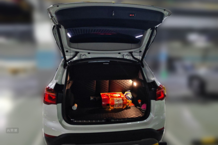 BMW X1 2019 car image #21