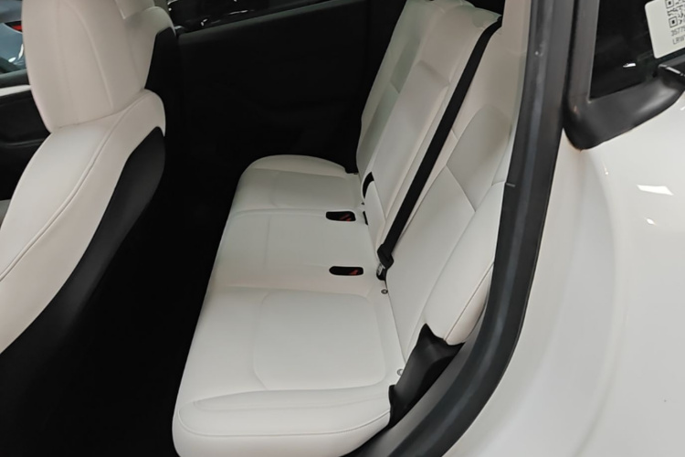 Tesla Model Y 2021 #17 Tesla Model Y 2021 car image #17