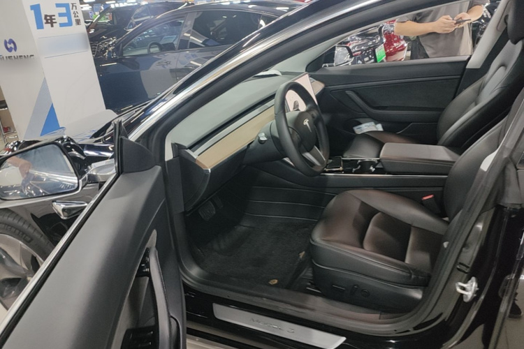 Tesla Model 3 2020 car image #16