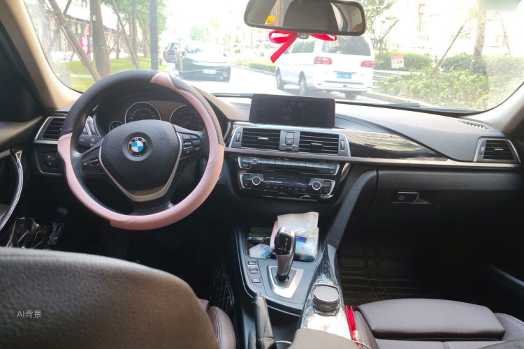 BMW 3 Series 2019 car image #11
