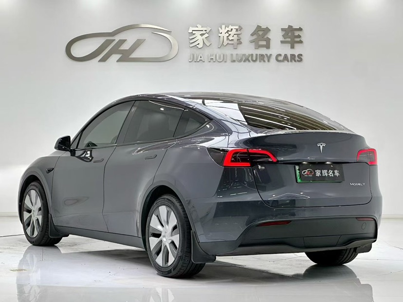 Tesla Model Y 2021 immagine di auto #4