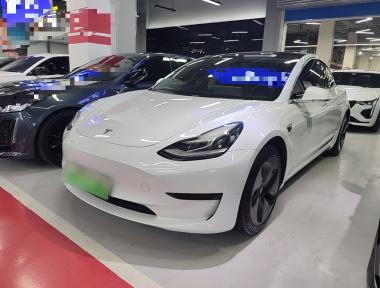 Tesla Model 3 2020 Tesla Model 3 2020 immagine di auto