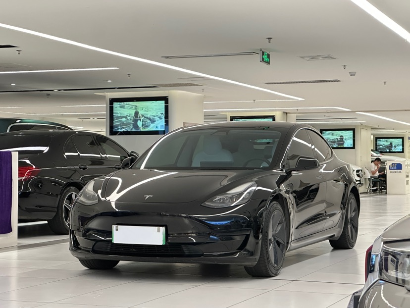 Tesla Model 3 2021 car image 