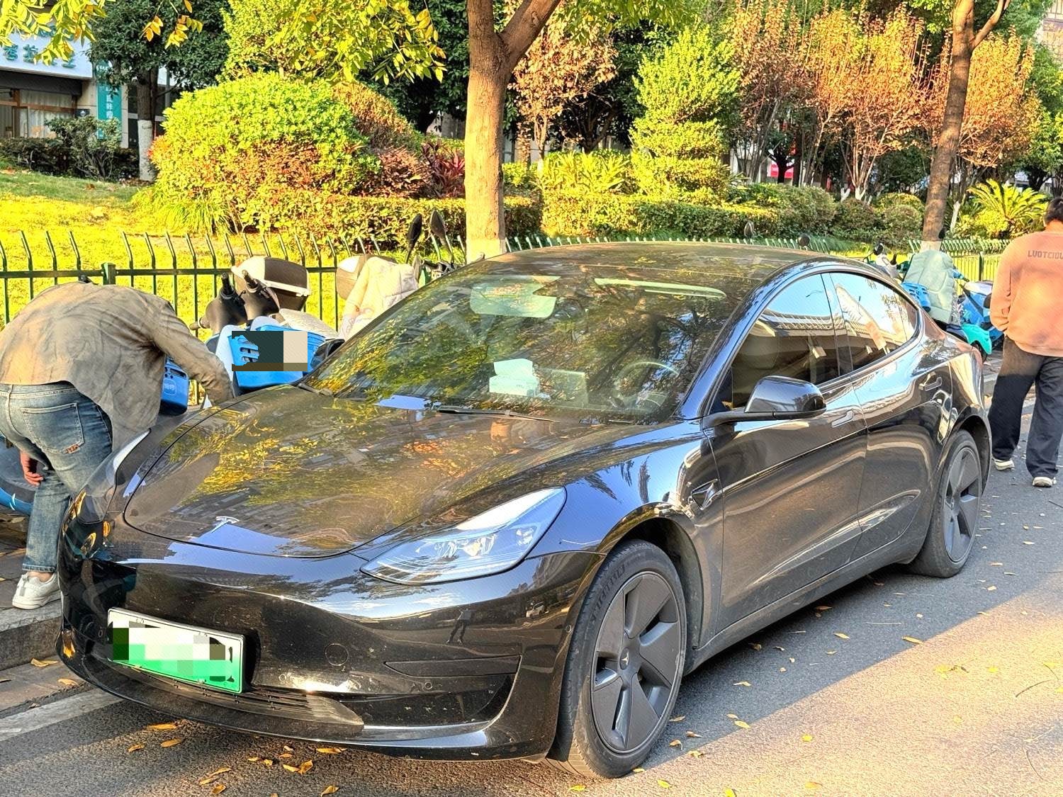 Tesla Model 3 2022 Tesla Model 3 2022 immagine di auto