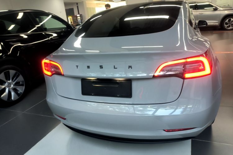 Tesla Model 3 2020 #6 Tesla Model 3 2020 car image #6