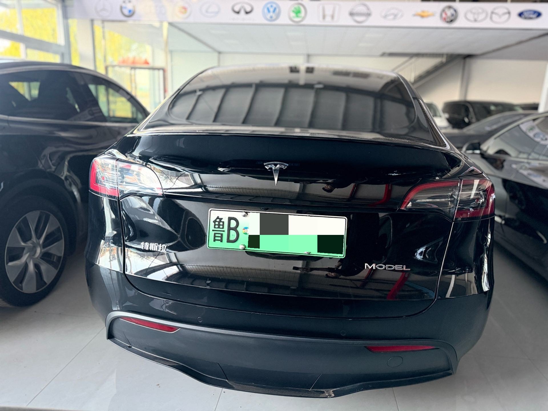 Tesla Model Y 2023 #6 Tesla Model Y 2023 car image #6
