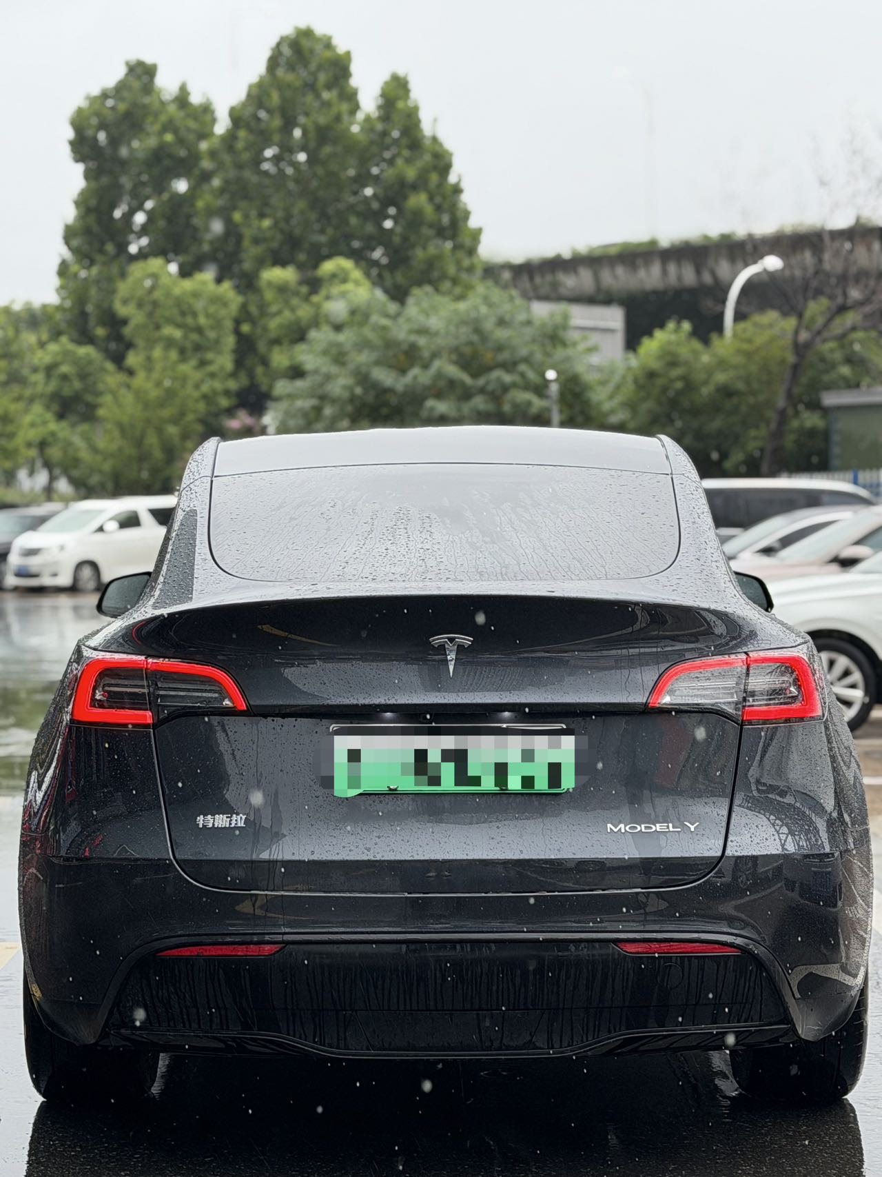 Tesla Model Y 2024 #3 Tesla Model Y 2024 car image #3
