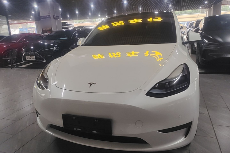 Tesla Model Y 2023 #3 Tesla Model Y 2023 car image #3