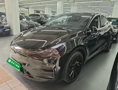 Tesla Model Y 2022 Tesla Model Y 2022 car image
