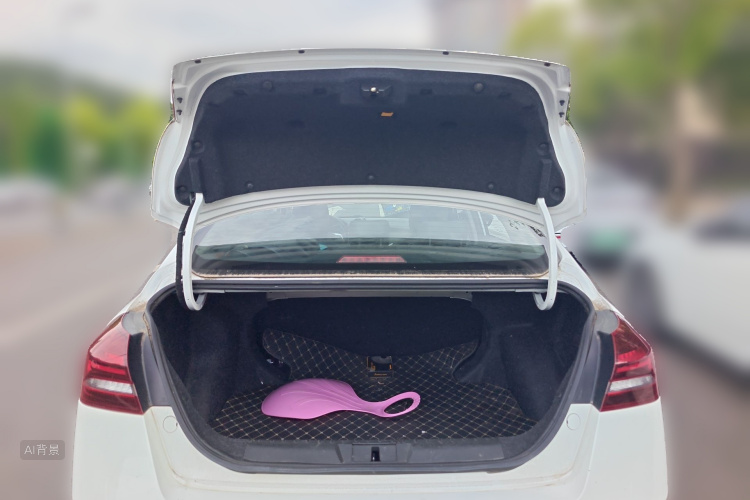 GEELY Emgrand 2021 imagem de carro #21