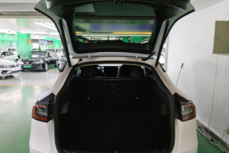 Tesla Model Y 2024 car image #19