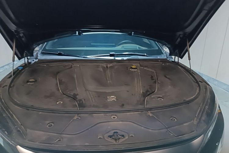 BYD Han 2024 car image #20