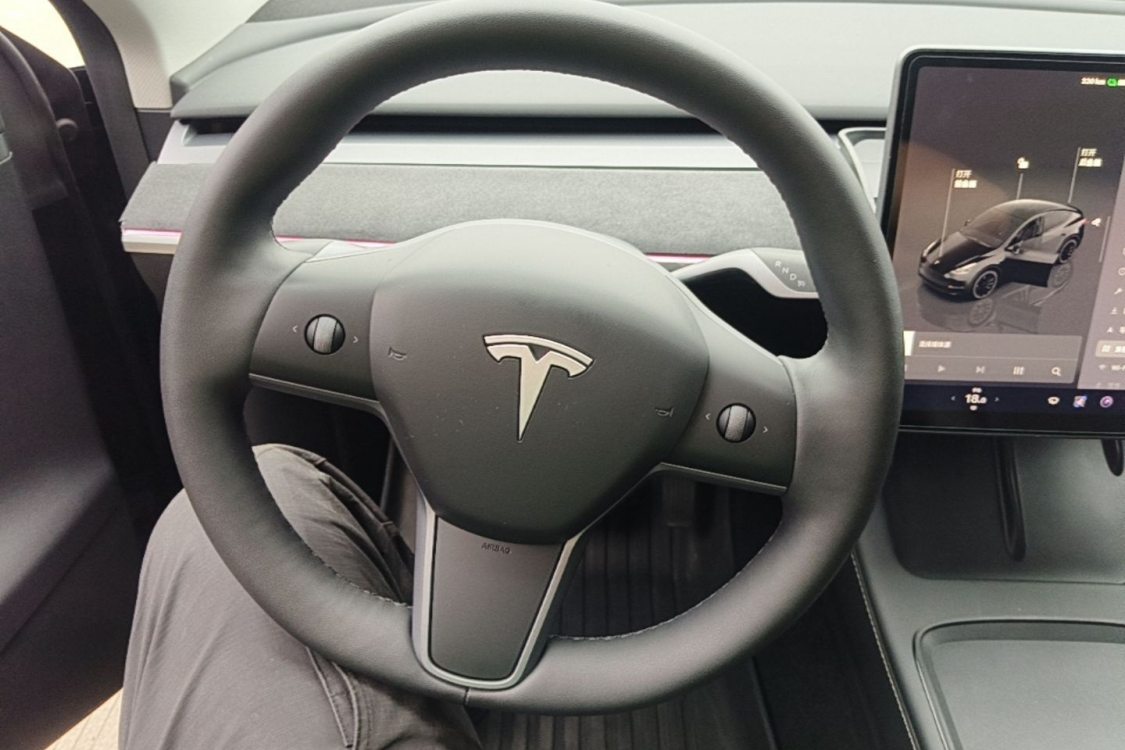 Tesla Model Y 2024 صورة سيارة #16