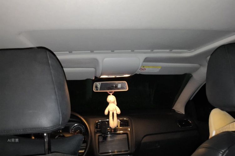 Volkswagen Polo 2016 car image #20