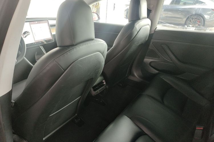 Tesla Model 3 2020 car image #15