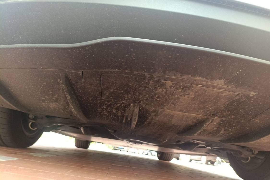 Tesla Model 3 2026 #14 Tesla Model 3 2026 car image #14