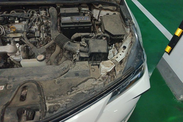 Toyota Corolla 2021 #25 Toyota Corolla 2021 car image #25