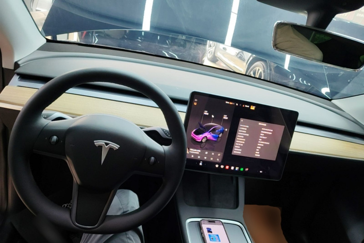 Tesla Model Y 2023 imagem de carro #10