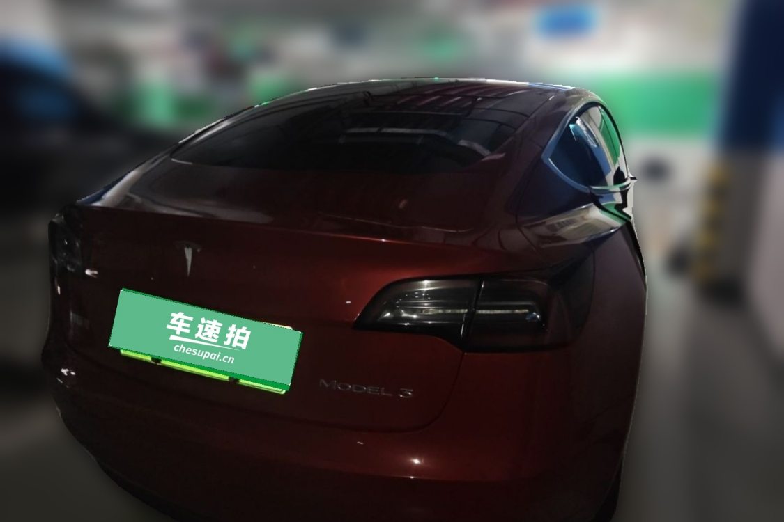 Tesla Model 3 2020 immagine di auto #4
