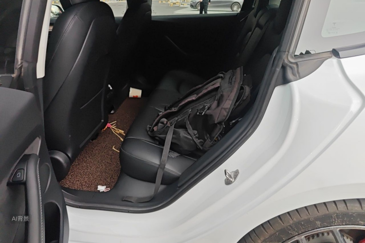 Tesla Model 3 2021 car image #19
