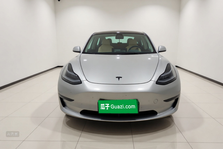 Tesla Model 3 2022 #3 Tesla Model 3 2022 car image #3