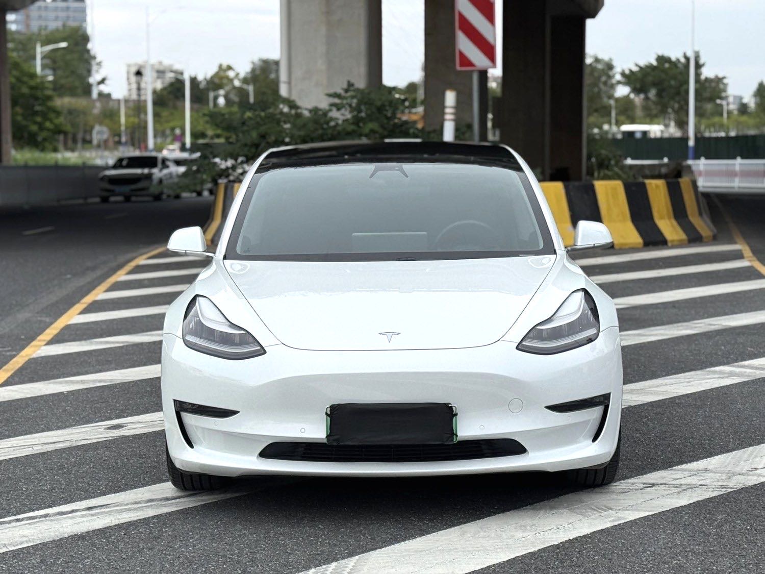 Tesla Model 3 2020 immagine di auto #2