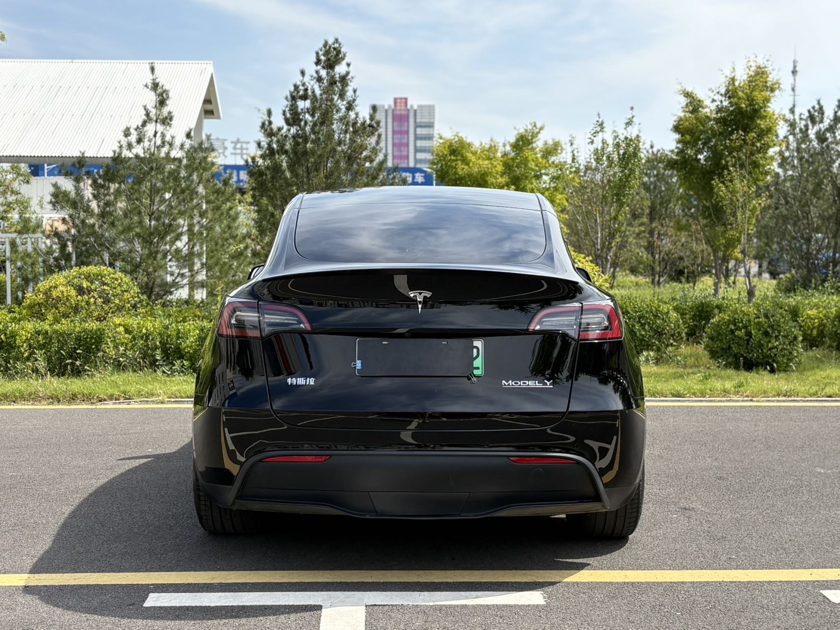 Tesla Model Y 2022 #8 Tesla Model Y 2022 car image #8