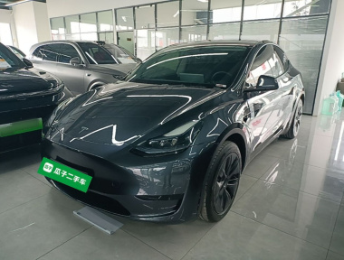 Tesla Model Y 2024 car image 