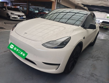 Tesla Model Y 2021 immagine di auto 