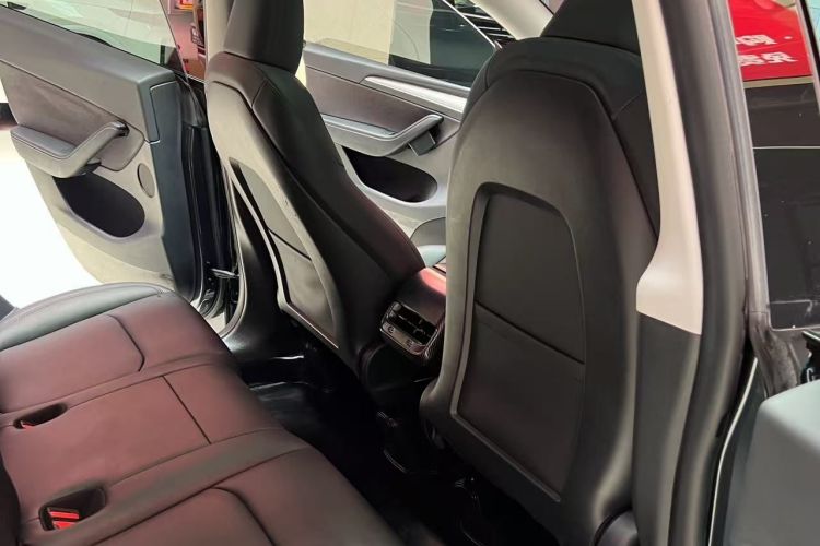 Tesla Model Y 2024 car image #13