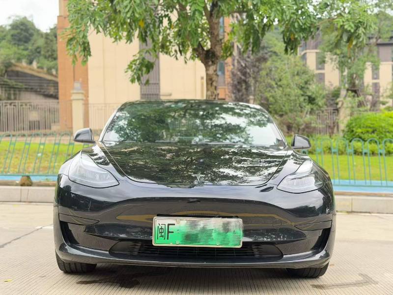 Tesla Model 3 2023 #2 Tesla Model 3 2023 car image #2