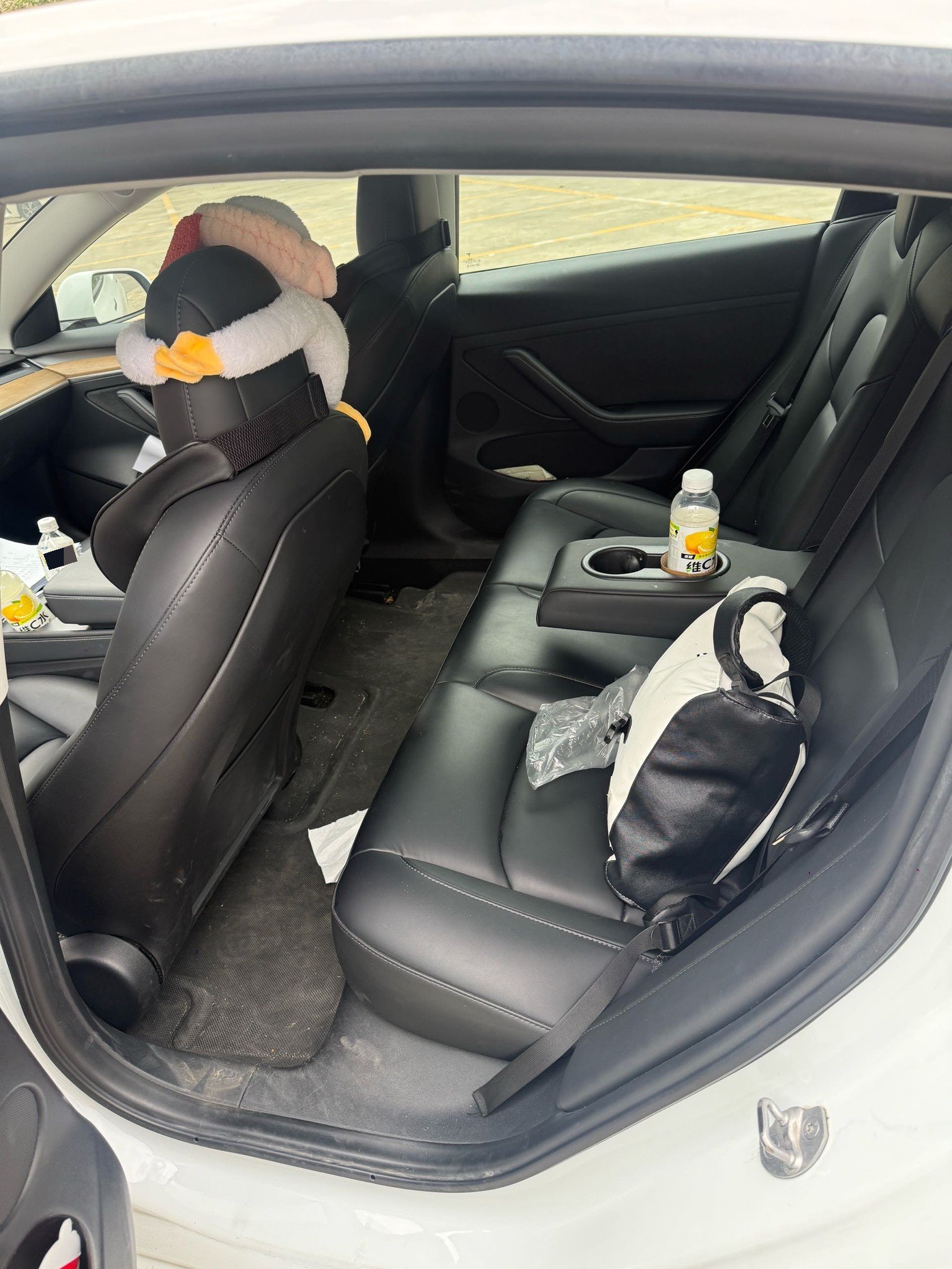 Tesla Model 3 2021 car image #9