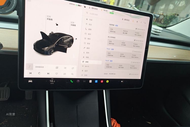 Tesla Model 3 2020 car image #15