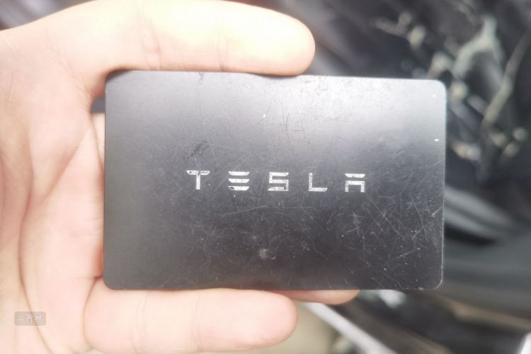 Tesla Model 3 2023 #10 Tesla Model 3 2023 car image #10
