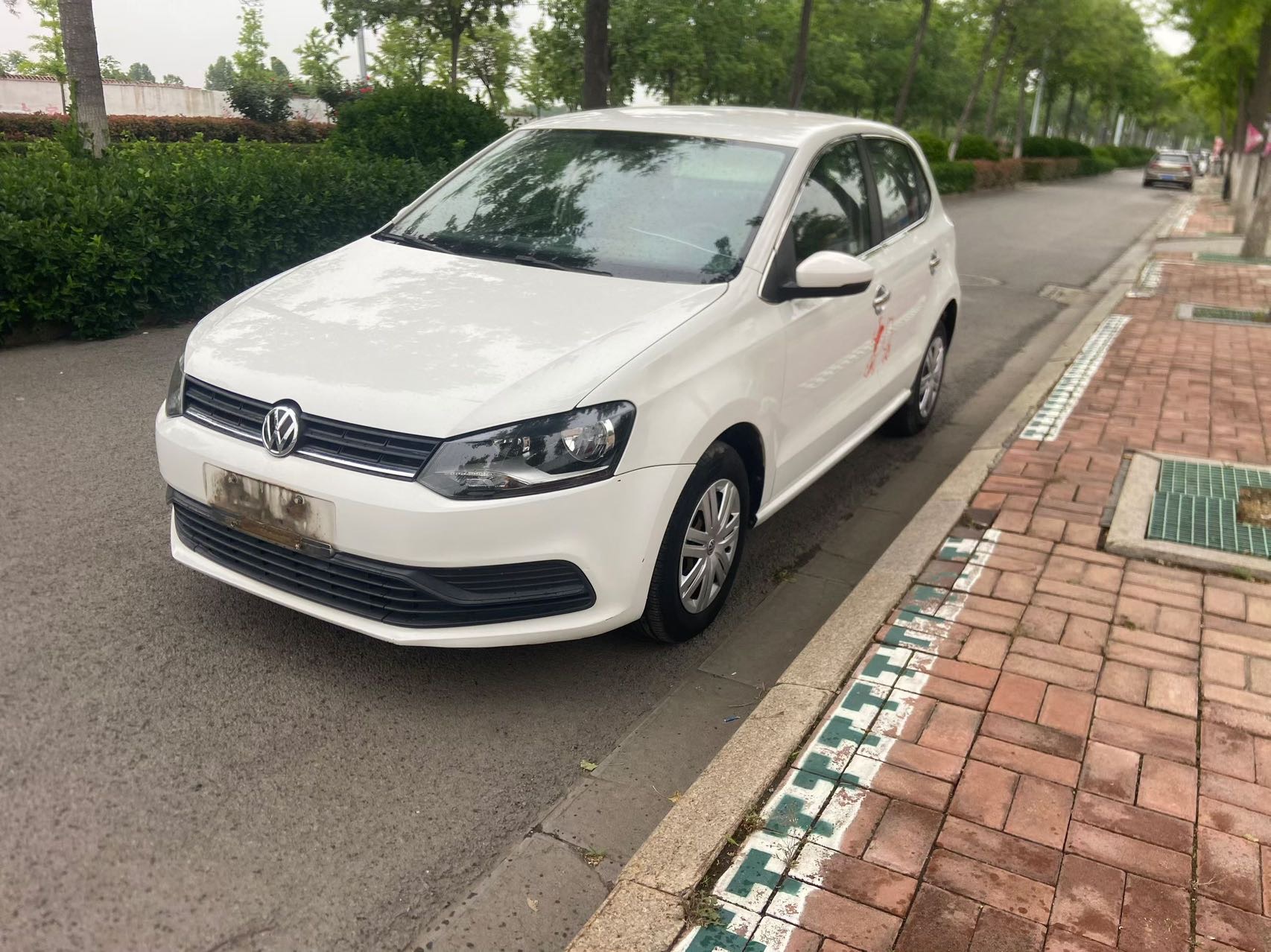 Volkswagen Polo 2016 Volkswagen Polo 2016 car image