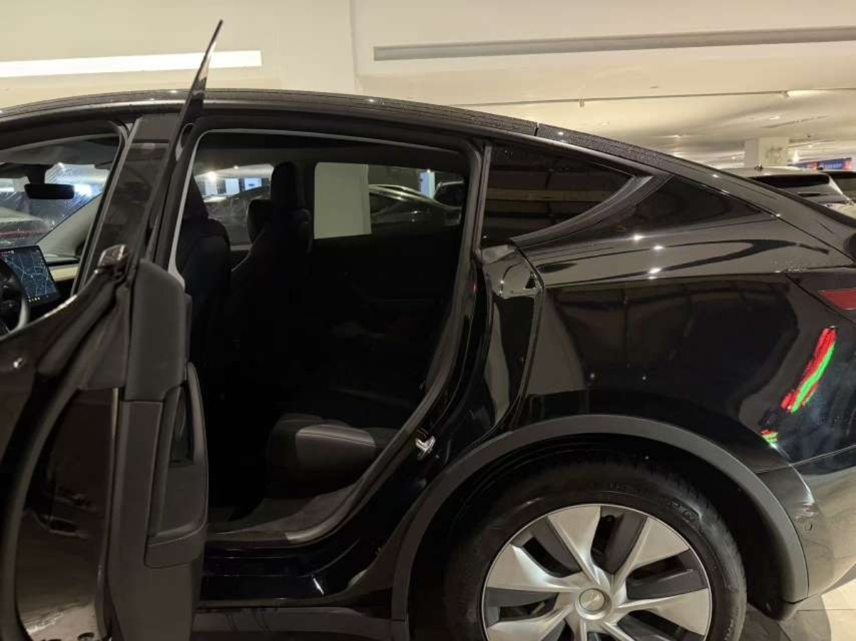 Tesla Model Y 2021 car image #6