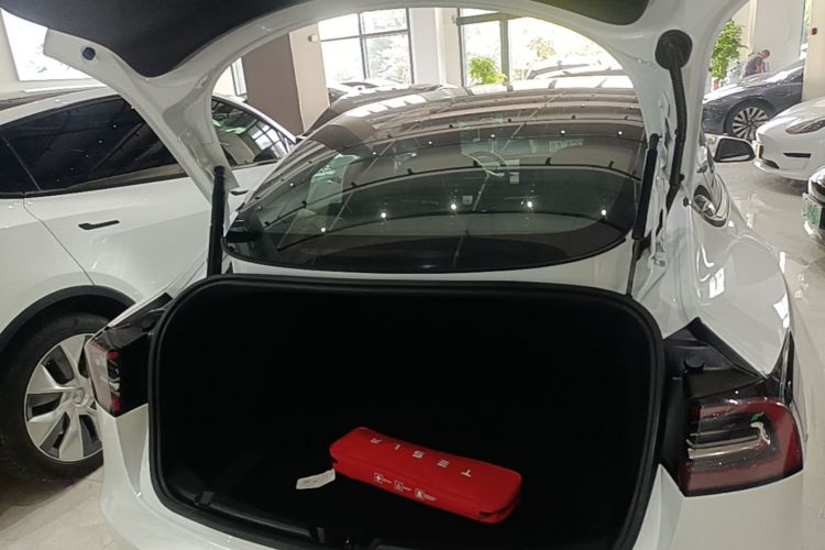 Tesla Model 3 2021 #19 Tesla Model 3 2021 car image #19