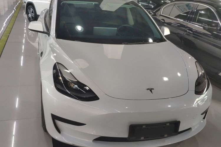 Tesla Model 3 2021 #3 Tesla Model 3 2021 car image #3