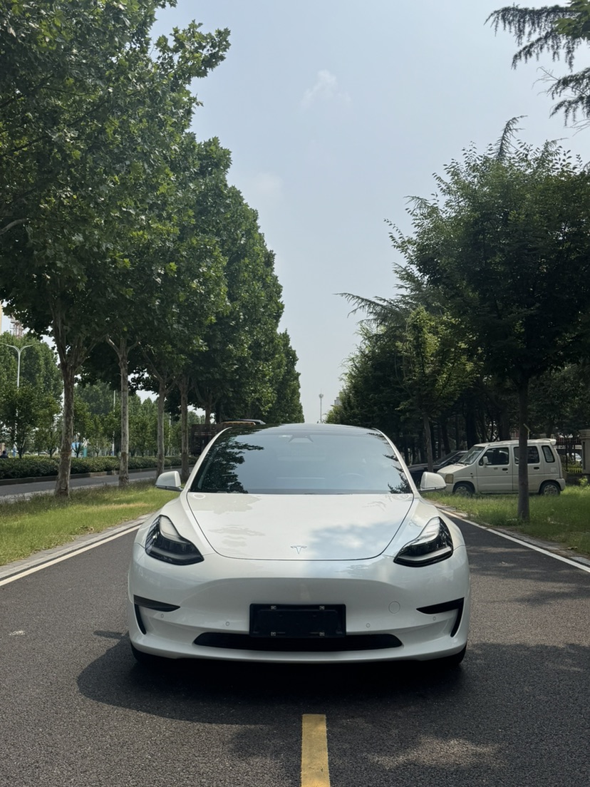 Tesla Model 3 (Imported) 2019 car image #2