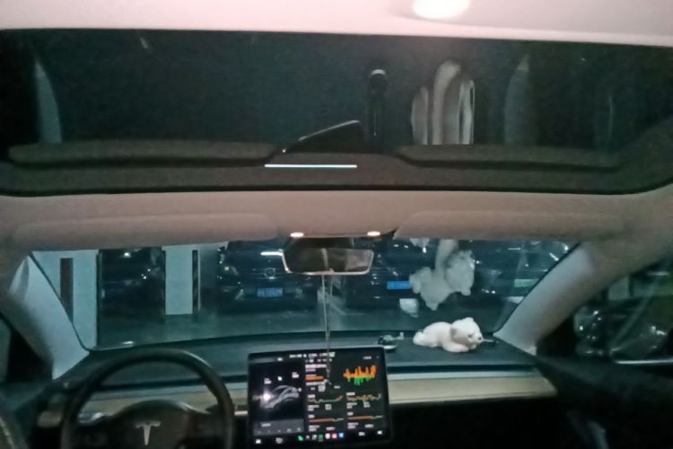 Tesla Model 3 2020 #16 Tesla Model 3 2020 car image #16