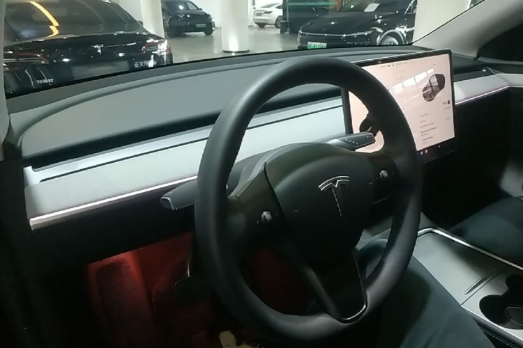 Tesla Model Y 2024 car image #10