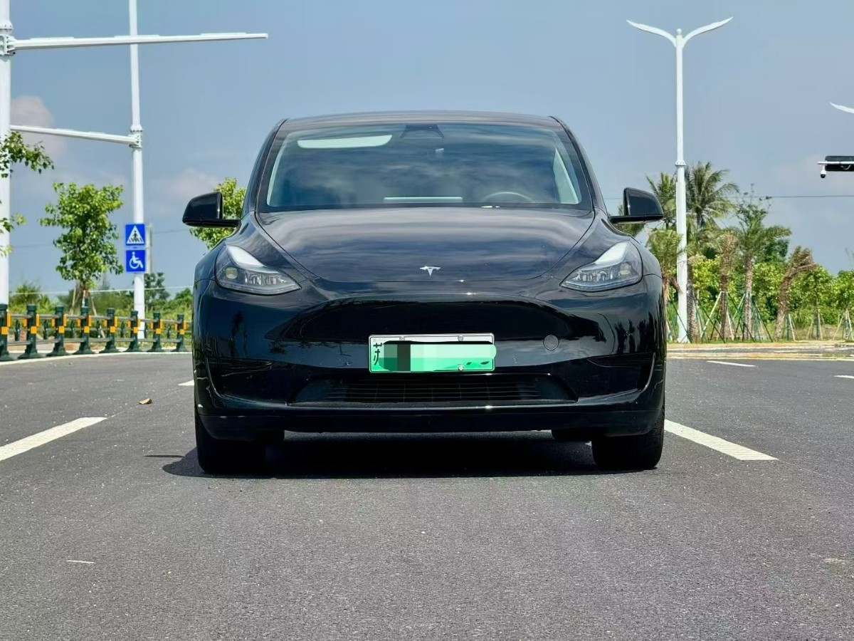 Tesla Model Y 2024 #2 Tesla Model Y 2024 car image #2