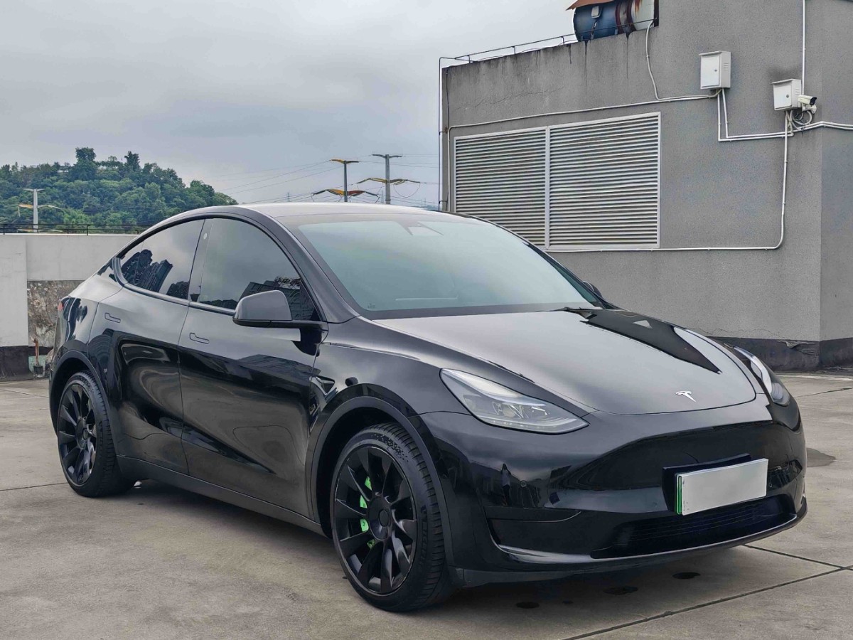 Tesla Model Y 2022 #2 Tesla Model Y 2022 car image #2