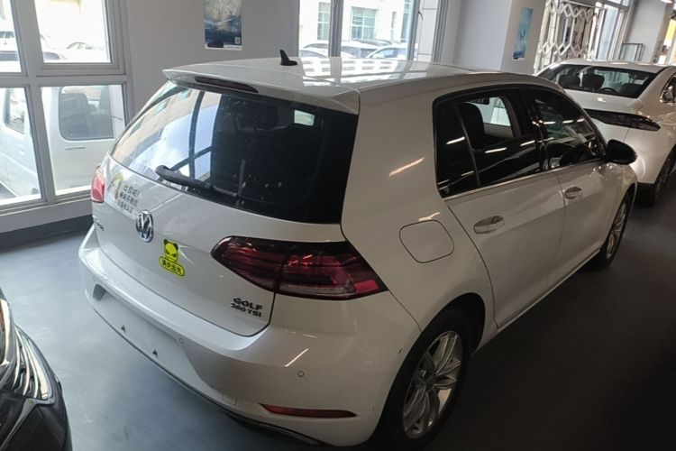 Volkswagen Golf 2019 #7 Volkswagen Golf 2019 car image #7